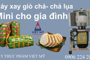 MÁY XAY GIÒ CHẢ LỤA 2 KG CHO GIA ĐÌNH