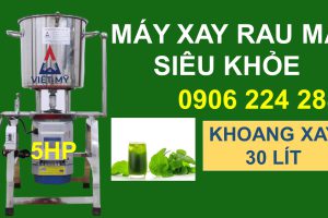 Máy Xay Rau Má Công Nghiệp Công Suất Lớn 5Kg Với Khoang Xay 30 Lít
