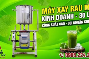 Máy Xay Rau Má Công Nghiệp 5Kg Giải Pháp Thay Thế Máy Xay Sinh Tố Truyền Thống